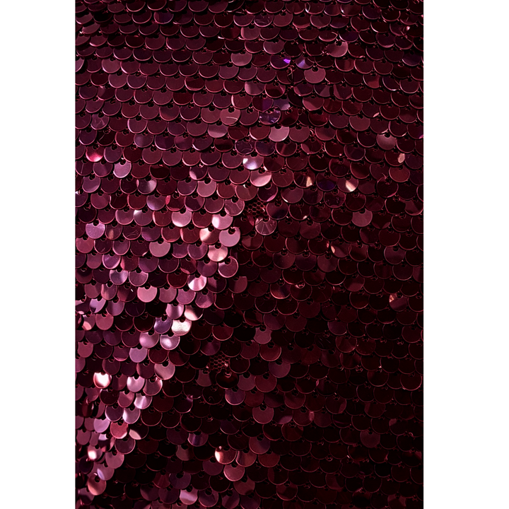 Burgundy Sequin Turtleneck Top